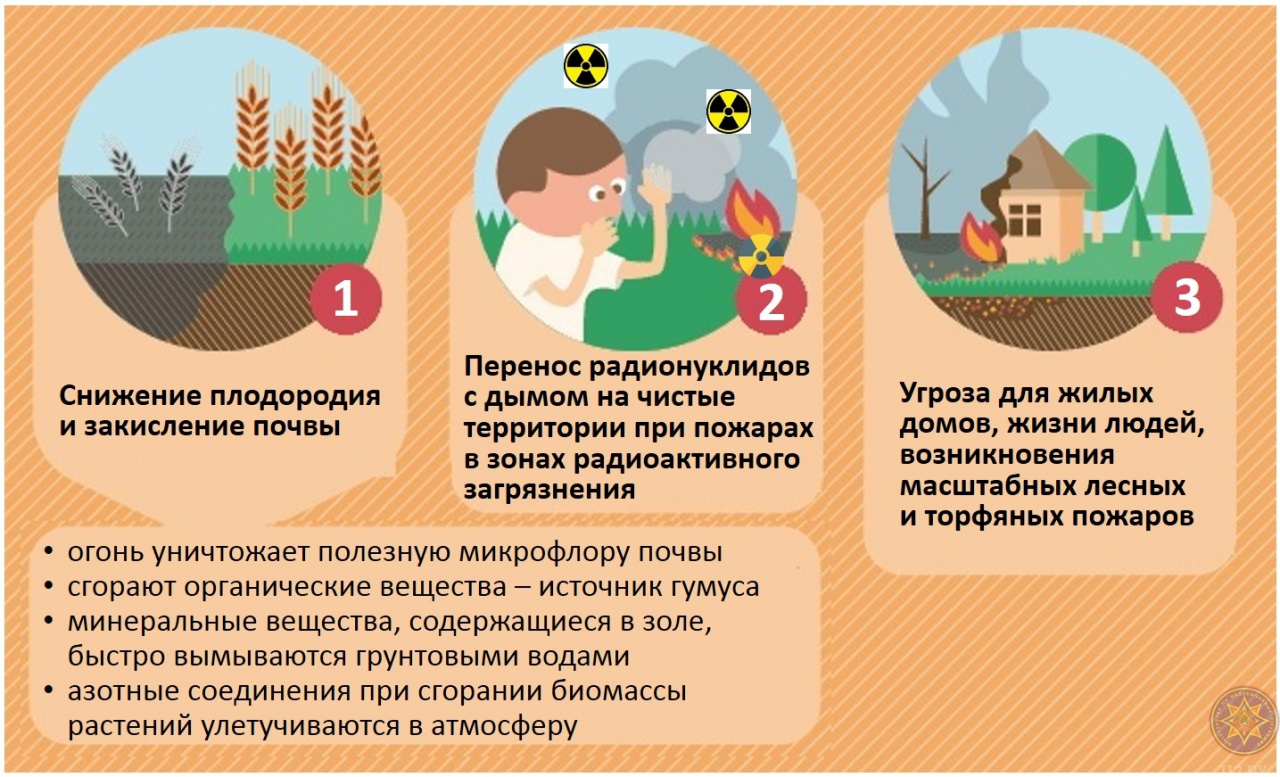 Информация Кадастровой палаты